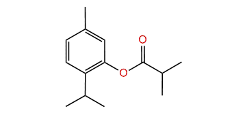 2-Isopropyl-5-methylphenyl isobutyrate